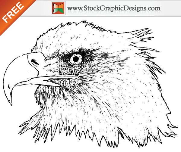 Free Hand Drawn Eagle Vector Graphics
