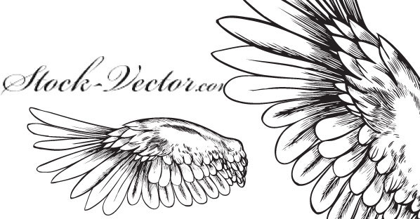 Free Vector Angelic Wings