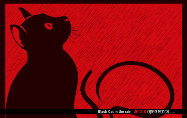 Black Cat in the Rain Vector Illustration