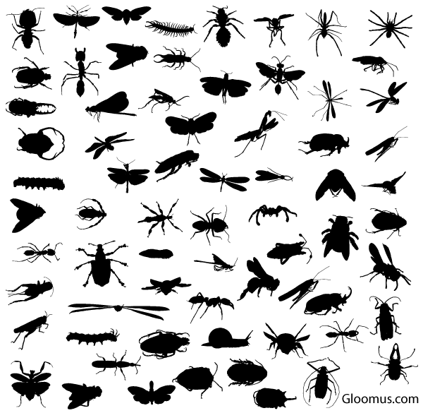 Free Vector Insect Silhouettes Free Download