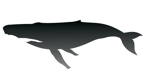 Humpback Whale Silhouette Vector