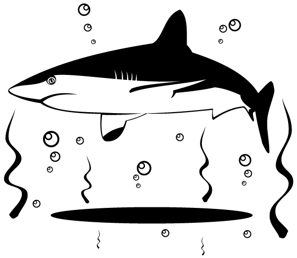 Shark Vector Image