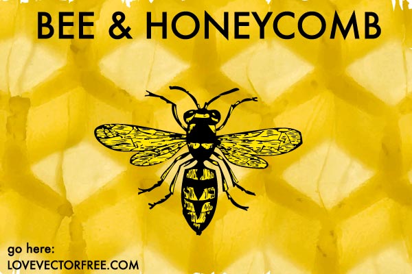 Vector Bee and Honeycomb
