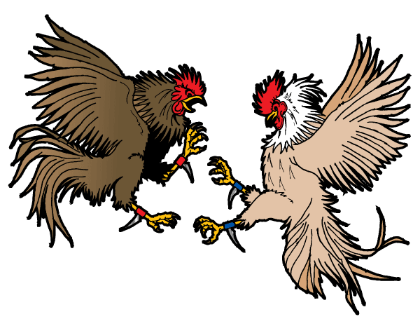 Cockfighting Vector Art
