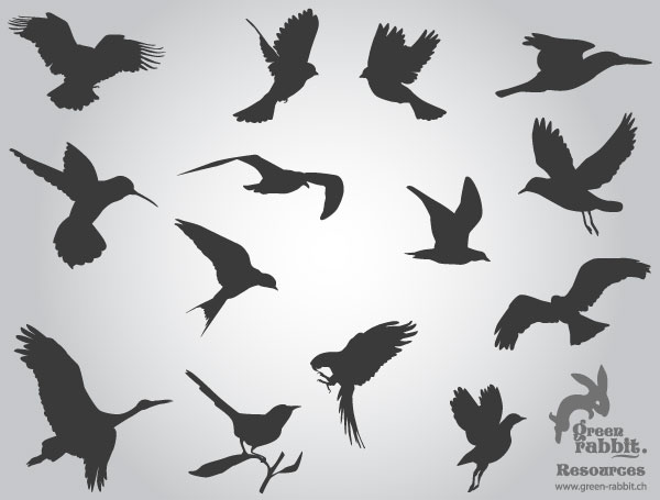 Vector Flying Birds Silhouettes