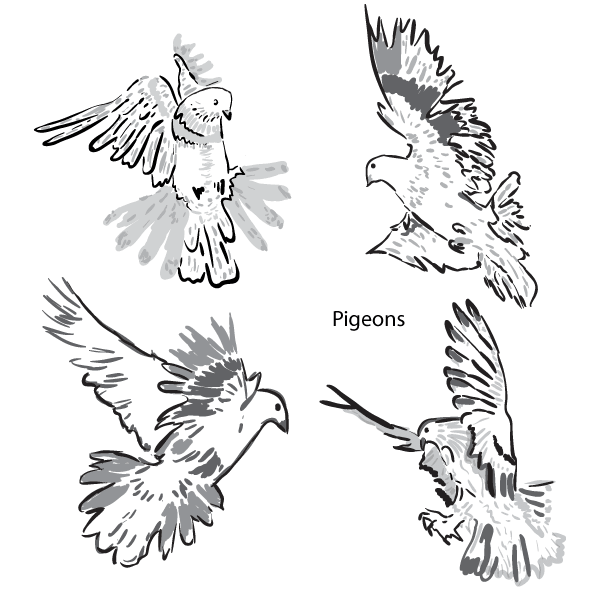 Artistic Pigeons Vector Art