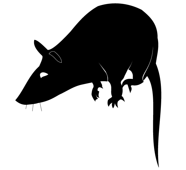 Vector Rat Silhouette