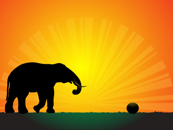 Vector Elephant Silhouette in the Sunset Wallpaper