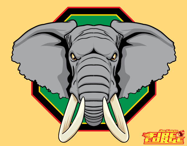 Vector African Elephant Head Image