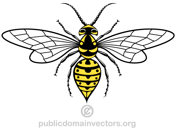 Vector Wasp Image
