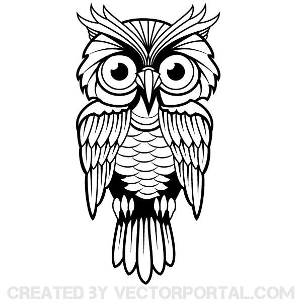 Vector Owl Image