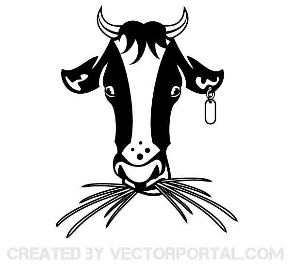 Cow Vector Image