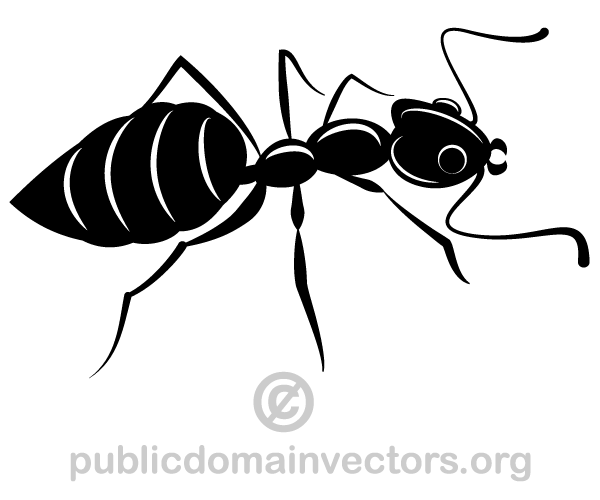 Ants Silhouette Vector Image