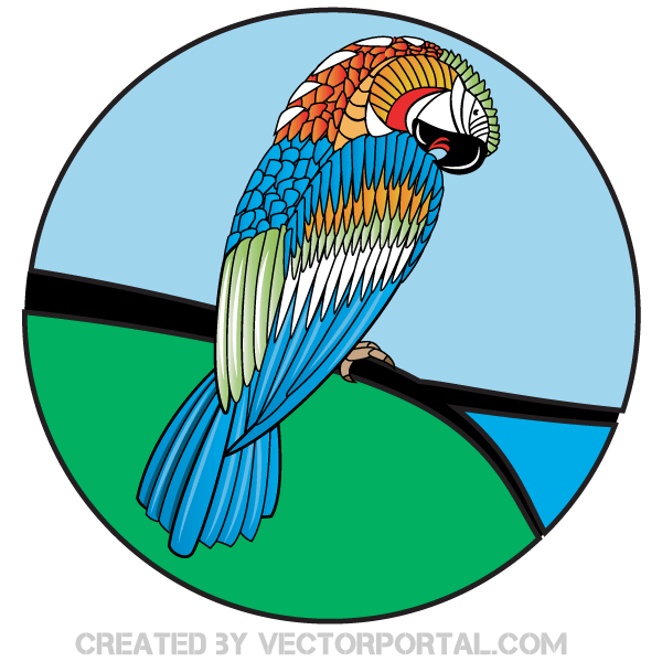 Parrot Vector Image