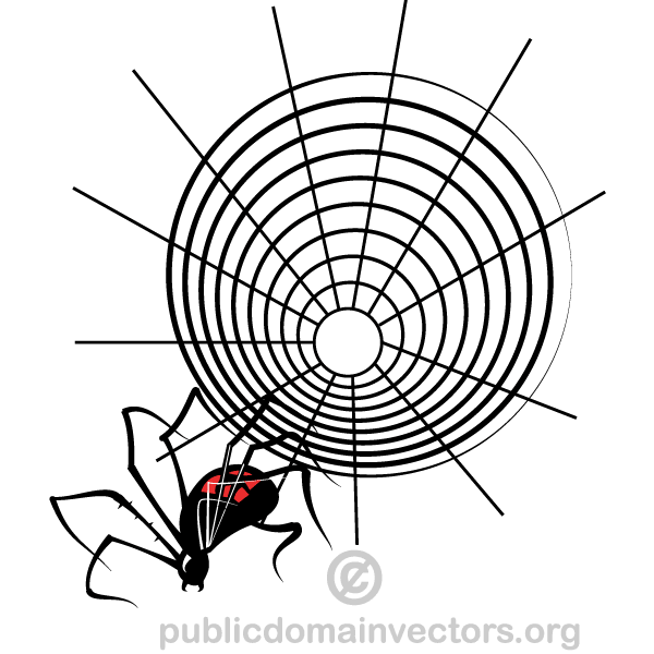Spider Web Vector Graphics