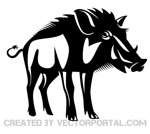 Wild Boar Vector Image