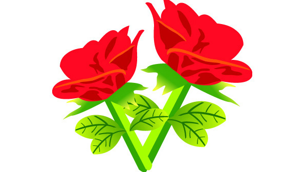 Free Vector Red Rose Flowers