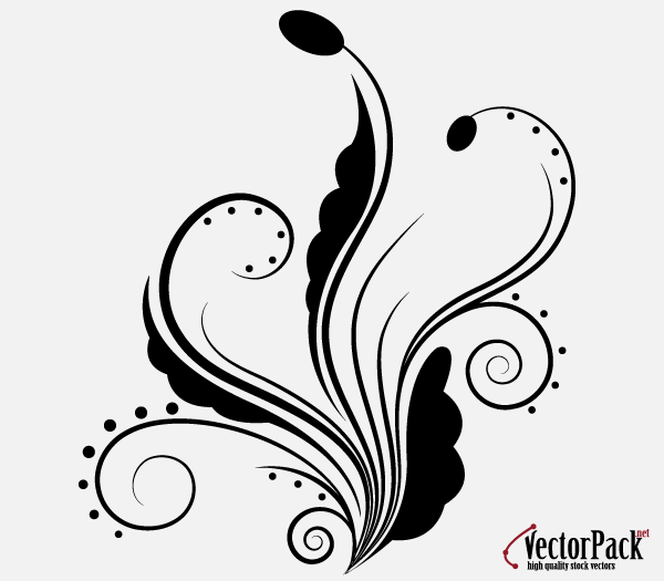 Floral Ornament with Swirls Elements Vector