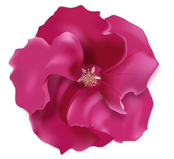 Rose Flower Image