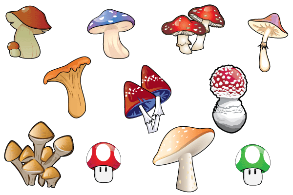 Free Mushroom Vector Art