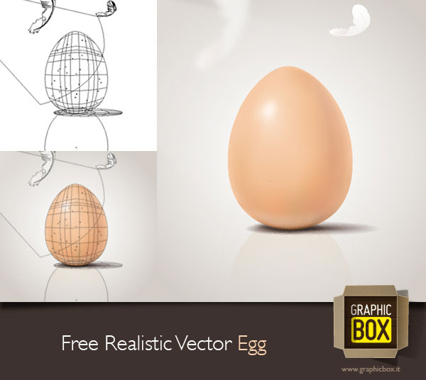 Vector Realistic Egg