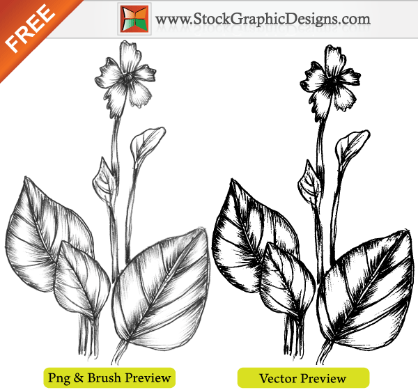 Hand Drawn Sketchy Plant Free Vector Image