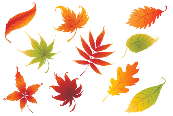 Colorful Vector Leaves