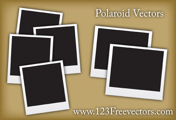 Polaroid Vectors