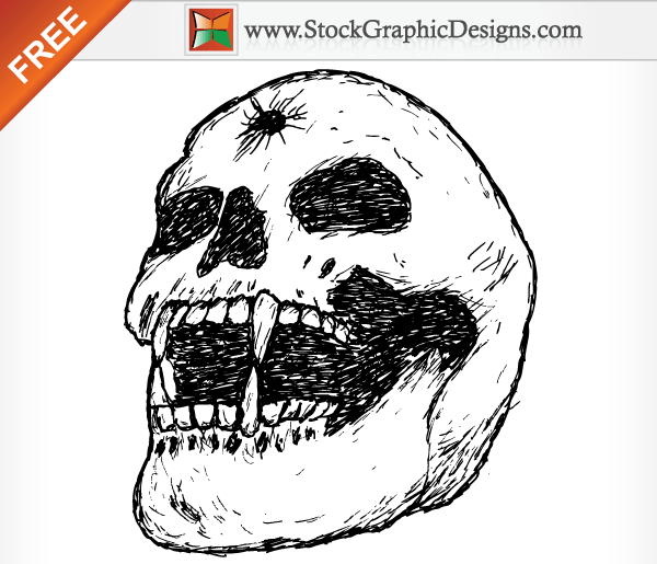Hand Drawn Human Skull Free Vector Image