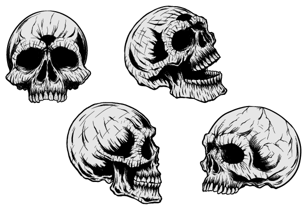 Vector Clip Art Skulls