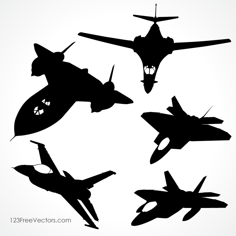 Fighter Aircraft Vector